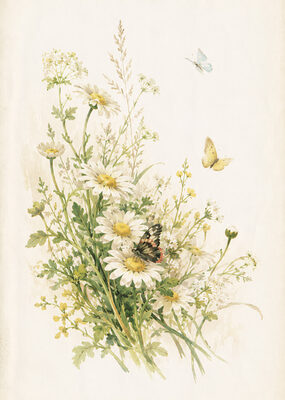 Image Not Available